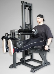 Zeige Details für Watson Single Stack Leg Extension / Seated Leg Curl Bild von Watson Single Stack Leg Extension / Seated Leg Curl